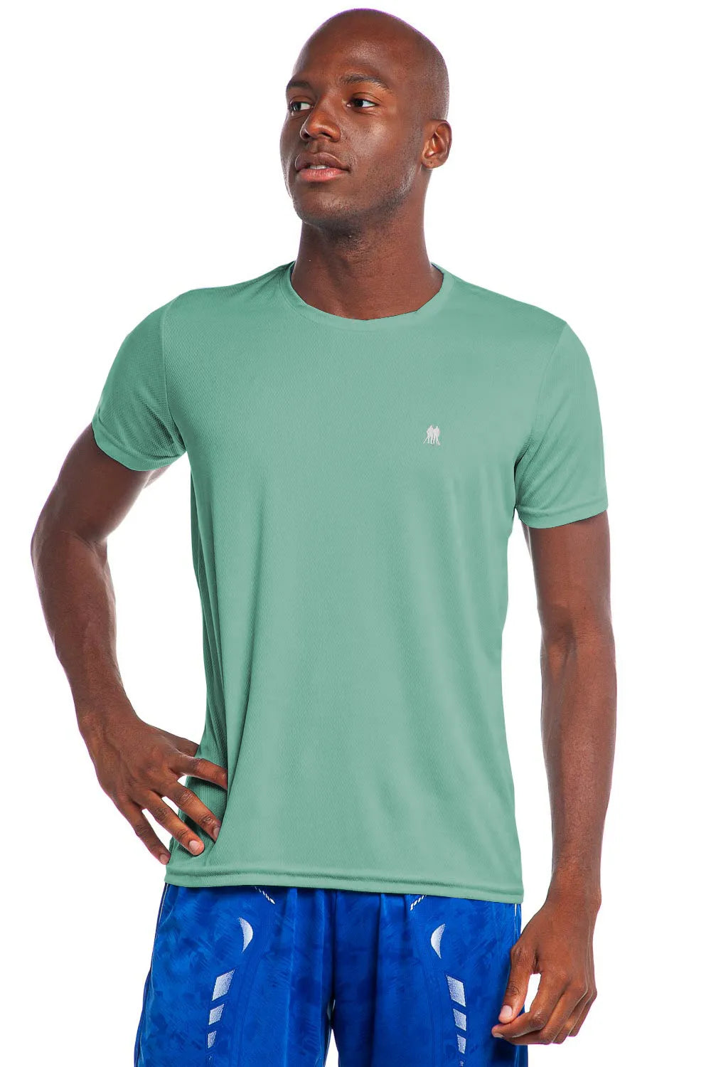 Camiseta Masculina Sports Lisa Verde Escuro