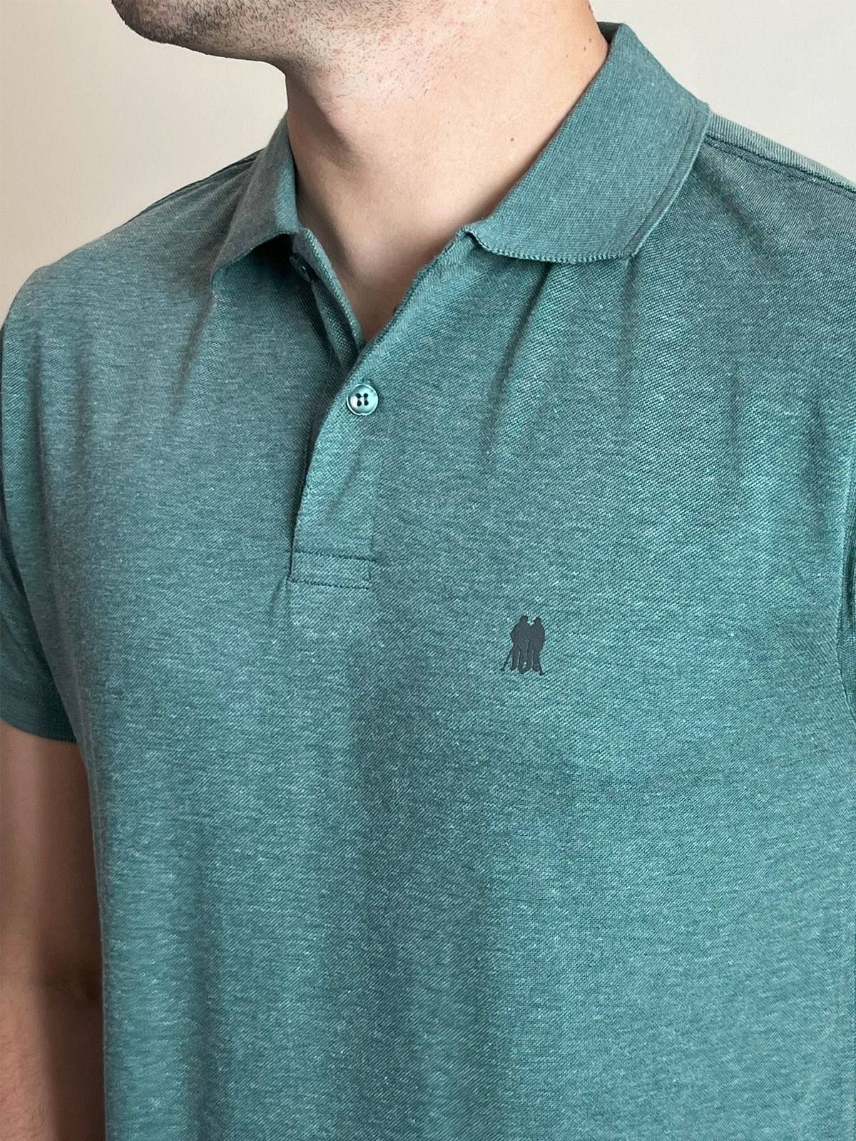 Polo Masculina Piquet Básica Com Botões Verde Claro